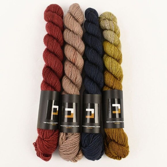 Dyed by DELZ BFL Sock Mini Yak Sock Mini Yarn Set 4 Skeins Multicolor - Picture 1 of 3